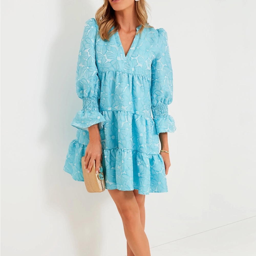 Tuckernuck Dress
